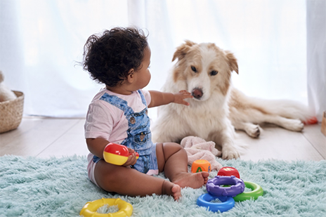 Baby sits on floor playing with toys and dog.