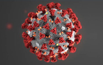 an illustration of the novel coronavirus